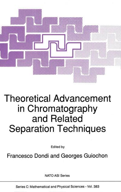 Theoretical Advancement in Chromatography and Related Separation Techniques