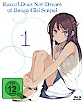 Rascal does not dream of Bunny Girl Senpai