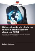 Déterminants du choix du mode d’établissement dans les PECO