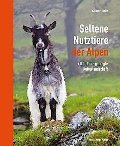 Seltene Nutztiere der Alpen 