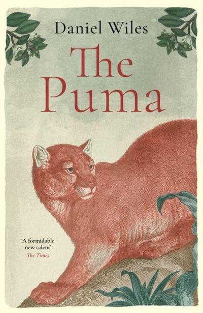 The Puma