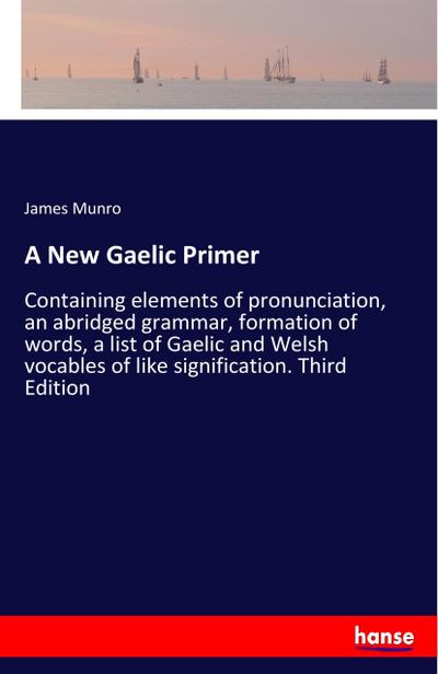 A New Gaelic Primer