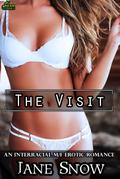 The Visit