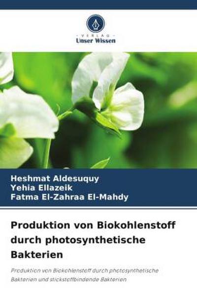 Produktion von Biokohlenstoff durch photosynthetische Bakterien