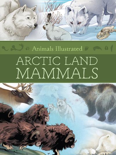 Animals Illustrated: Arctic Land Mammals