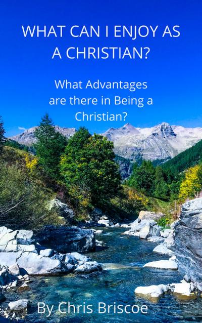 What Can I Enjoy as a Christian (What it means to be a Christian, #1)
