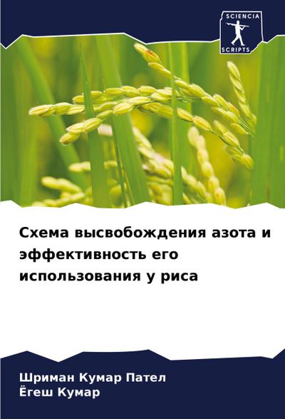 Shema wyswobozhdeniq azota i äffektiwnost’ ego ispol’zowaniq u risa