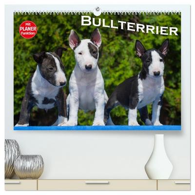 Bullterrier (hochwertiger Premium Wandkalender 2026 DIN A2 quer), Kunstdruck in Hochglanz