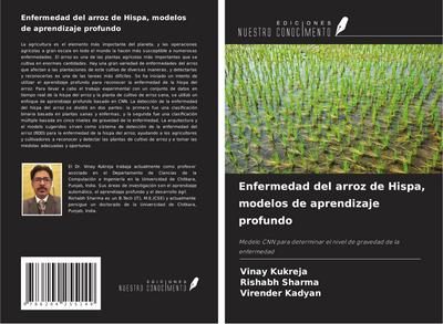 Enfermedad del arroz de Hispa, modelos de aprendizaje profundo