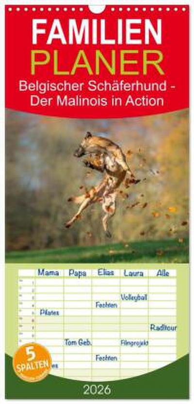 Familienplaner 2026 - Belgischer Schäferhund - Der Malinois in Action mit 5 Spalten (Wandkalender, 21 x 45 cm) CALVENDO