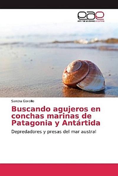 Buscando agujeros en conchas marinas de Patagonia y Antártida