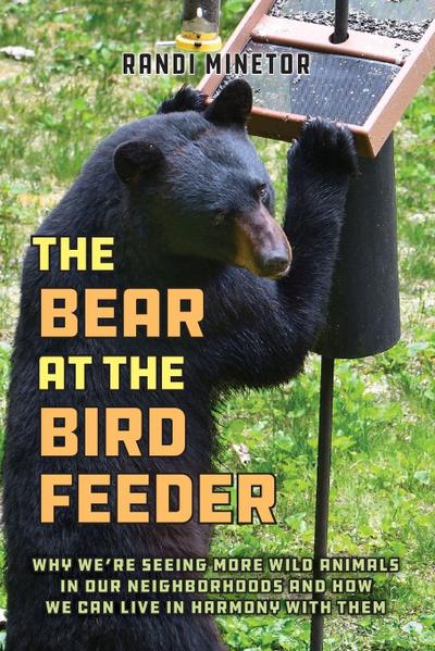The Bear at the Bird Feeder
