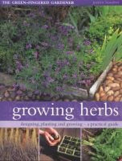 Growing Herbs