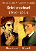 Briefwechsel 1910-1914 (Großdruck)