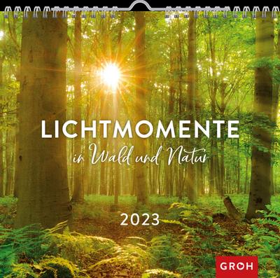 Lichtmomente in Wald und Natur 2023