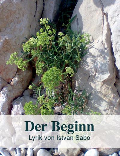 Der Beginn