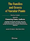 Flowering Plants. Eudicots