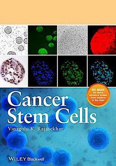Cancer Stem Cells