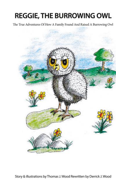 Reggie The Burrowing Owl