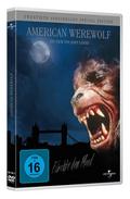 American Werewolf - Fürchte den Mond