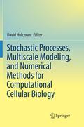 Stochastic Processes, Multiscale Modeling, and Num