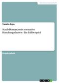 Staub-Bernasconis normative Handlungstheorie. Ein Fallbeispiel