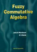 FUZZY COMMUTATIVE ALGEBRA