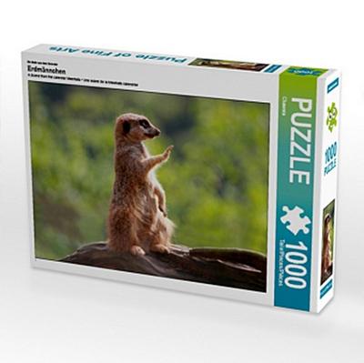 Halt Stop - ich habe alles im Blick!, 1000 Teile