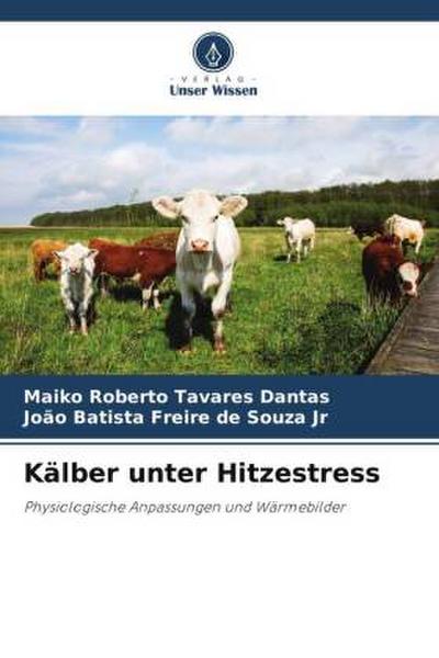 Kälber unter Hitzestress