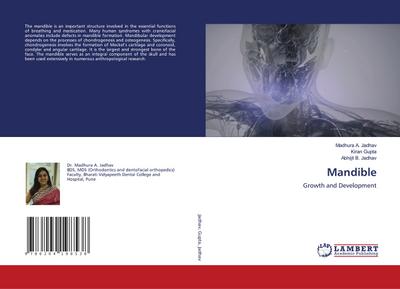 Mandible
