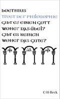 Trost der Philosophie