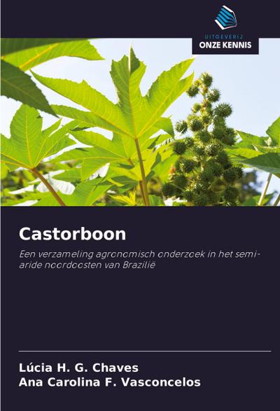Castorboon