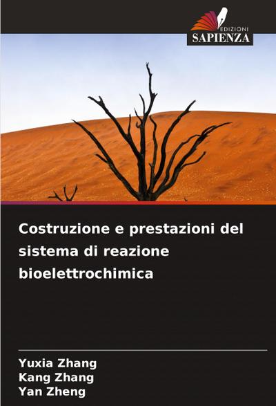 Costruzione e prestazioni del sistema di reazione bioelettrochimica