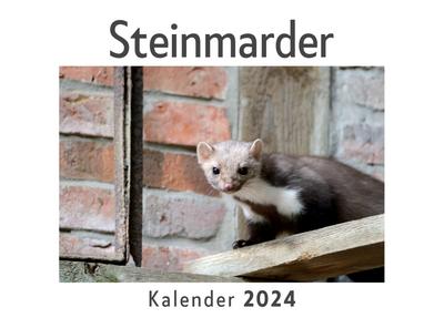 Steinmarder (Wandkalender 2024, Kalender DIN A4 quer, Monatskalender im Querformat mit Kalendarium, Das perfekte Geschenk)