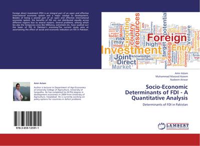 Socio-Economic Determinants of FDI - A Quantitative Analysis
