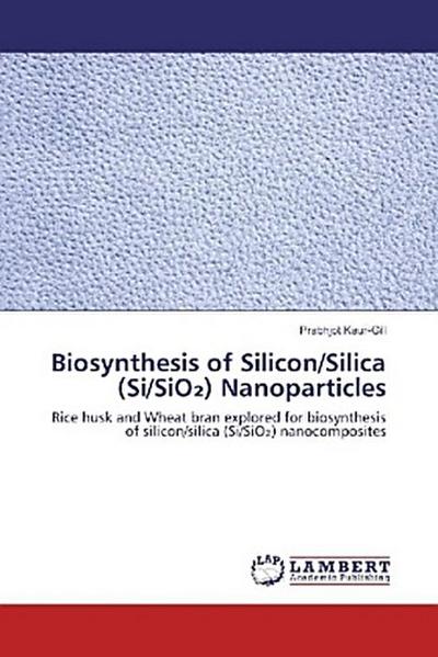 Biosynthesis of Silicon/Silica (Si/SiO¿) Nanoparticles