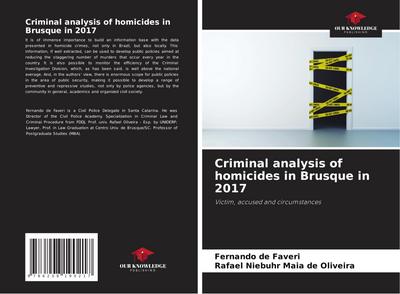 Criminal analysis of homicides in Brusque in 2017