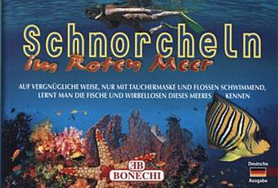 Schnorcheln im Roten Meer