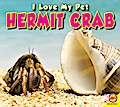 Hermit Crab