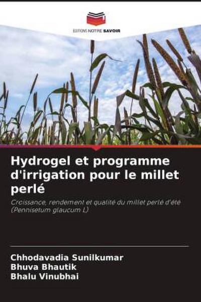 Hydrogel et programme d’irrigation pour le millet perlé