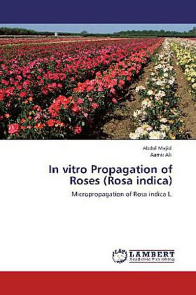 In vitro Propagation of Roses (Rosa indica)