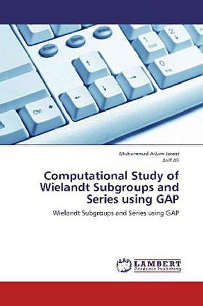 Computational Study of Wielandt Subgroups and Series using GAP