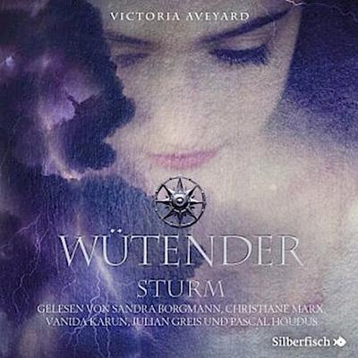 Wütender Sturm (Die Farben des Blutes 4), 3 Audio-CD, 3 MP3