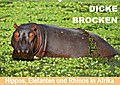 Dicke Brocken - Hippos, Elefanten und Rhinos in Afrika (Wandkalender 2017 DIN A2 quer) - Wibke Woyke