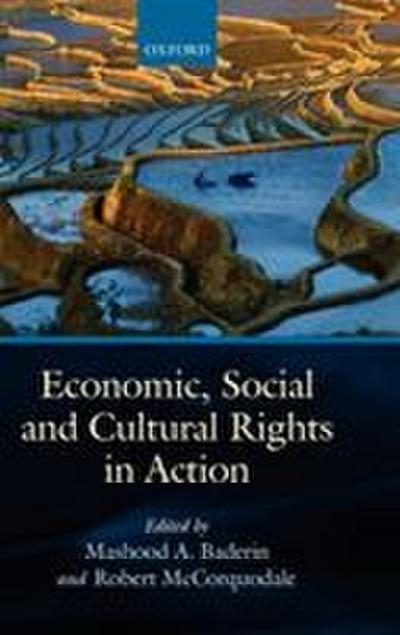 Economic, Social and Cultural Rights in Action