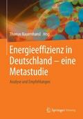 Energieeffizienz in Deutschland - eine Metastudie