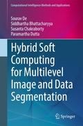 Hybrid Soft Computing for Multilevel Image and Dat