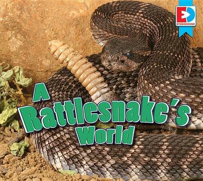 A Rattlesnake’s World
