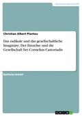 Das radikale und das gesellschaftliche Imaginäre. Der Einzelne und die Gesellschaft bei Cornelius Castoriadis