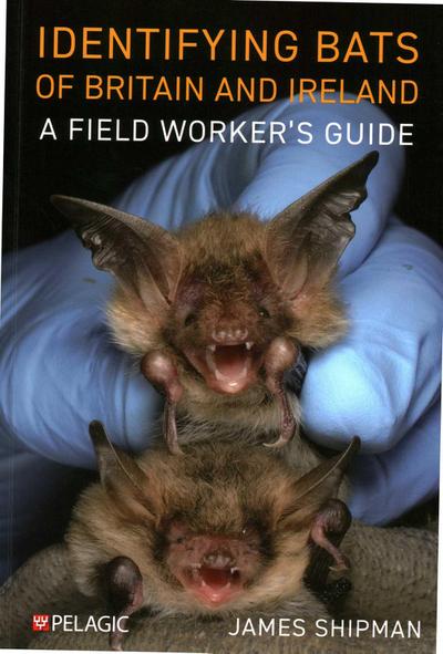 Identifying Bats of Britain and Ireland